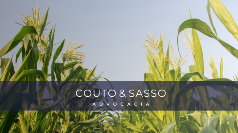 Arrendamento vs. Parceria Rural: Qual o melhor para o Agronegócio?