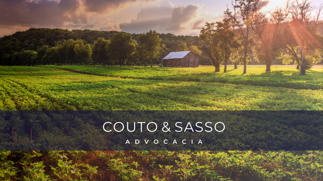 Quais os cuidados na compra de imóvel rural?